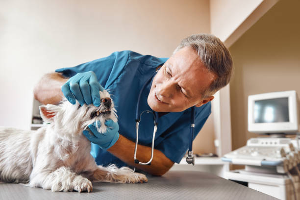 Best Emergency Tooth Extraction in Midtown, TN